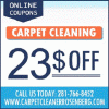Photo for Carpet Cleaner Rosenberg