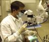 Photo for Global Surgical/Operating Microscopes Market 2016 Industry Growth, Trends, Size, Demand, Share and Analysis by 2021