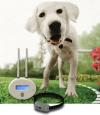Photo for Dog Fence Center