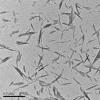 Photo for Nanocrystalline Cellulose Market with business strategies and analysis to 2021
