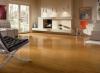 Photo for Europe Laminate Wood Flooring Market 2016 Industry Forecast, Revenue, Consumption, Import and Export by 2021