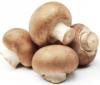 Photo for Global Mushroom Market 2016 Growth, Forecast to 2021 by Trends, Shares, Value, Demand, Development in Manufacturing Technology