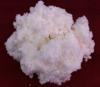 Photo for Global Nitrocellulose Market 2016 Growth, Forecast to 2021 by Trends, Shares, Value, Demand, Development in Manufacturing Technology