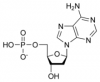 Photo for Global Nucleotide Market 2016 Growth, Forecast to 2021 by Trends, Shares, Value, Demand, Development in Manufacturing Technology