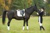 Photo for Private Horseback Riding Lessons