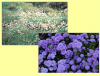 Photo for Deyarman Allergy & Asthma Clinic LLC