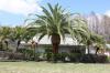 Photo for Bradenton Tree Service