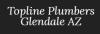 Photo for Topline Plumbers Glendale