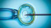 Photo for Europe In Vitro Fertilization Market Expected to Reach $4,447 Million, by 2022