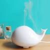 Photo for Humidifier