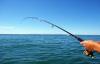 Photo for Angler's Pro Shop