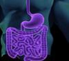 Photo for Digestive Health Enzymes Market : Overview, Drivers And Trends, Geographical Outlook & Global Industry Analysis By 2024