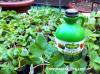 Photo for Liquid fertilizer