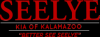 Photo for Seelye Kia of Kalamazooz