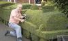 Photo for Hedge Trimming Guys