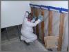 Photo for Mold abatement