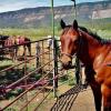 Photo for Rustlers Roost Ranch