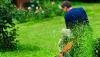 Photo for This Mosquito Control Service in St. Louis is All You Need to Rid Your Yard From Unwelcomed Pests