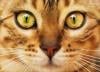 Photo for Plainview Veterinary Clinic