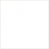 Photo for Instant Process Service