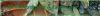 Photo for KP Landscaping & Lawn Care