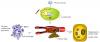 Photo for Cancer Biomarkers Market to Reach $15,737 Million, Globally, by 2022