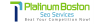 Photo for Platinum Boston Seo Services