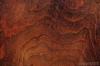 Photo for Textured paint