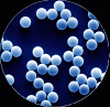 Photo for Microspheres Market: By Regional Segment Analysis, 2015 - 2021