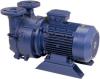 Photo for Liquid Ring Vacuum Pumps (LRVP) Market Accounting for US$ 2,871.3 Million by 2024 End