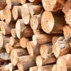 Photo for Patterson Lumber