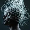 Photo for Brain Computer Interface Market is Expected to Reach $ 1.46 Billion, Globally, by 2020