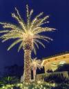 Photo for Outside Lighting Guys