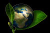 Photo for GreenForPlanet