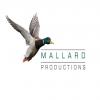 Photo for TV film and video production company in Glasgow, Scotland