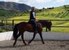 Photo for Collegiate Equestrian Programs