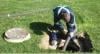Photo for Septic Tank Pumping Gwinnett