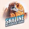 Photo for Skyline Helicopter Tours