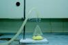 Photo for Global Methyl Bromide Solution Market, Growth and Forecast up, 2016 - 2021 by Research Beam