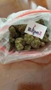 Photo for MEDICAL MARIJUANA STRAINS,HEMP OILS,HASHISH ETC ALL ON SALE AT OUR DISPENSARY(www.ripe2pipegreenplug.org)