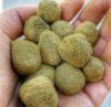 Photo for MEDICAL MARIJUANA STRAINS,HEMP OILS,HASHISH ETC ALL ON SALE AT OUR DISPENSARY(www.ripe2pipegreenplug.org)