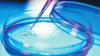 Photo for human primary cells