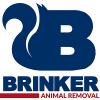 Photo for Brinker Animal Removal