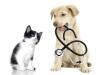 Photo for Do Not Hesitate To Visit A Neurologist, Knowing Is Always Better Than Staying Ignorant