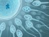 Photo for In Vitro Fertilization Market is Expected to Reach $4,021.3 million, Asia-Pacific, by 2021