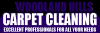 Photo for Carpet Cleaning Woodland Hills