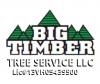 Photo for Big Timber Tree Service LLC