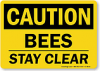 Photo for 911 Honey Bee Removal