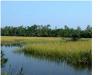 Photo for Tidal Creek Homesite with Dock for Sale in Darrel Creek Subdivision, Mount Pleasant, SC