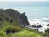 Photo for Abalone Cove
